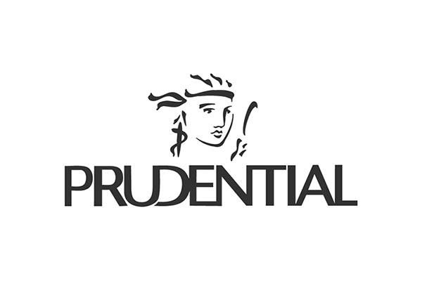 prudential-grey prudential-grey